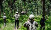 Jungle Talkies: A walk in Bandipur