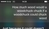 Hilarious conversations with iPhone's Siri