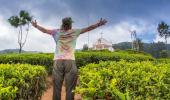 50 shades of green in Munnar