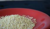 Eating healthy: 4 ways to cook millet