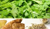 Quiz: Health benefits of everyday herbs