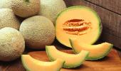 15 health benefits of musk melon