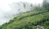 High tea in Darjeeling