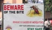 Dengue: Myths And Facts