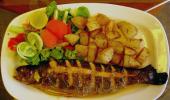 Grilled trout on a holiday in Manali