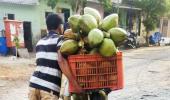 Summer pics: Ice creams, coconuts and more