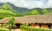 Green getaways: 8 best eco-friendly stays in India