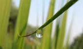 Monsoon pics: Little drops of joy