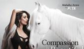 Hold your horses: Malaika has something to say!