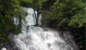 Monsoon pics: Even dogs love waterfalls