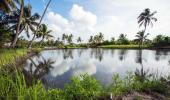 What's so magical about this tiny island in Kerala?