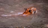 Summer pics: It's bath time!