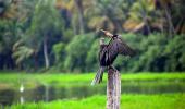 Monsoon pics: Caught in a downpour