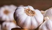 How garlic, tomatoes can help you fight cancer