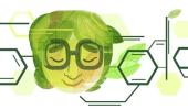 Google celebrated her 100th birthday. Who was Asima Chatterjee?