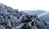 Pics: 10 reasons why you must visit Himachal in winter, not summer!