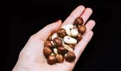 The many benefits of eating nuts