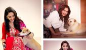 Aww! Have you met Madhuri's pets?