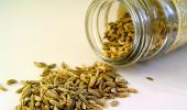 Can fennel seeds help you lose weight?