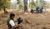 In pix: The tigers of Bandhavgarh