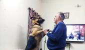 Pet pics: 'I love my German Shepherd'