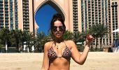 'Paw-sitively' sexy! Celebs stun in leopard print swimsuits