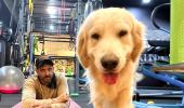 Hrithik Roshan and his pet enjoy self-isolation