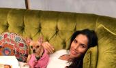 Woof! Have you met Padma Lakshmi's pet?