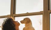 ASK POOJA: Emotionally Ready for a Pet?