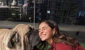 SEE: Ananya Panday is a TRUE pet lover