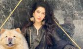 Sonarika's Fashionable Pets