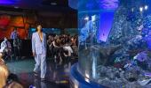 Oh fish! A fashion show in an aquarium