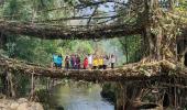 Why We Love Meghalaya's Root-Bridges