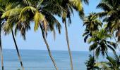 Is Tourism Destroying Goa?