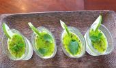 Recipe: Mojito Panna Cotta