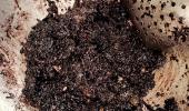 Recipe: Zelda's Black Carrot Halwa
