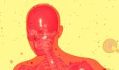 10 Foods That Are Good For Your Gut