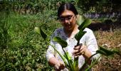 How Sushmita Krishnan Is Making Paper From Water Hyacinths