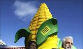 Global food crisis: How serious is it?