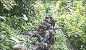 Coping with Naxals: Plan panel's 7-point strategy