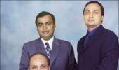 Mukesh Ambani a socialite, Anil an ascetic: Book