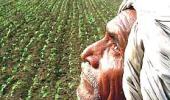 Another farmer commits suicide in Bengal; toll reaches 15 in WB