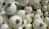 Onions: Take hoarders to task, govt tells states