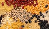 India's foodgrain output dips