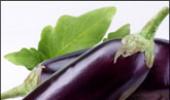 Bt brinjal and the politics of knowledge