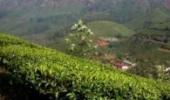 Tata company largest encroacher in Munnar