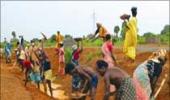 Rural employment guarantee scheme for NGOs