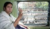 Mamata's populist measures bad for Railways