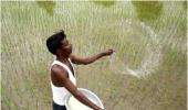 Major tax relief to agriculture, related sectors