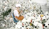 Images: The factory of the world!
